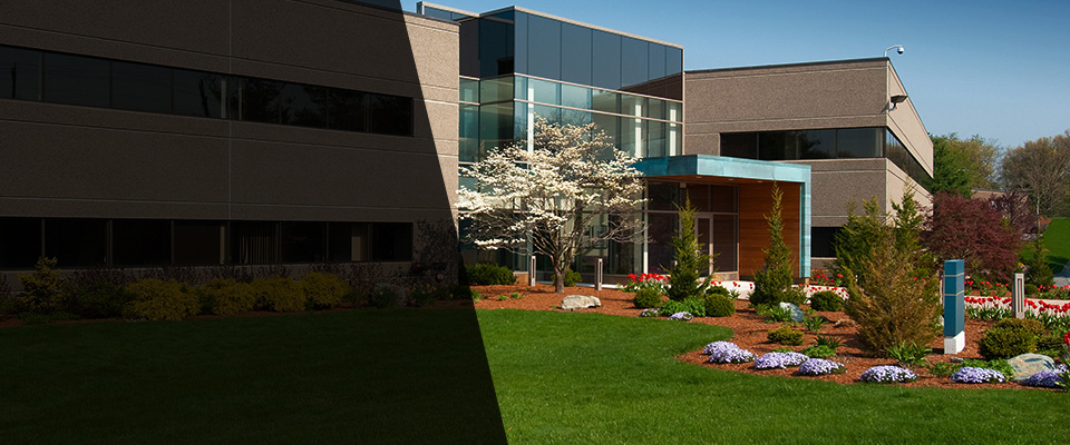 Woodbine Landscapers