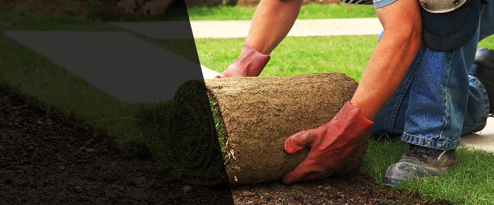 Woodbine Landscapers